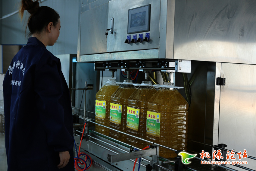2121非凡,油茶种植出产加工销售,植物油种植出产加工销售