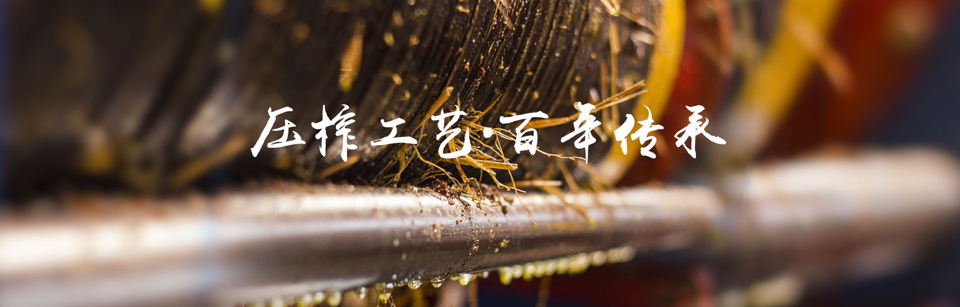 2121非凡_油茶种植出产加工销售|植物油种植出产加工销售