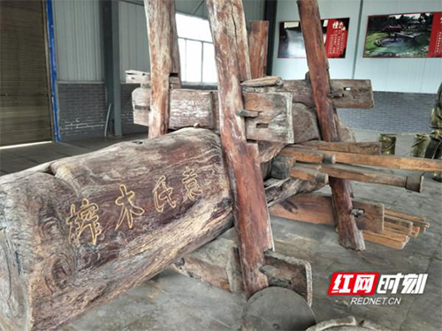 2121非凡,油茶种植出产加工销售,植物油种植出产加工销售