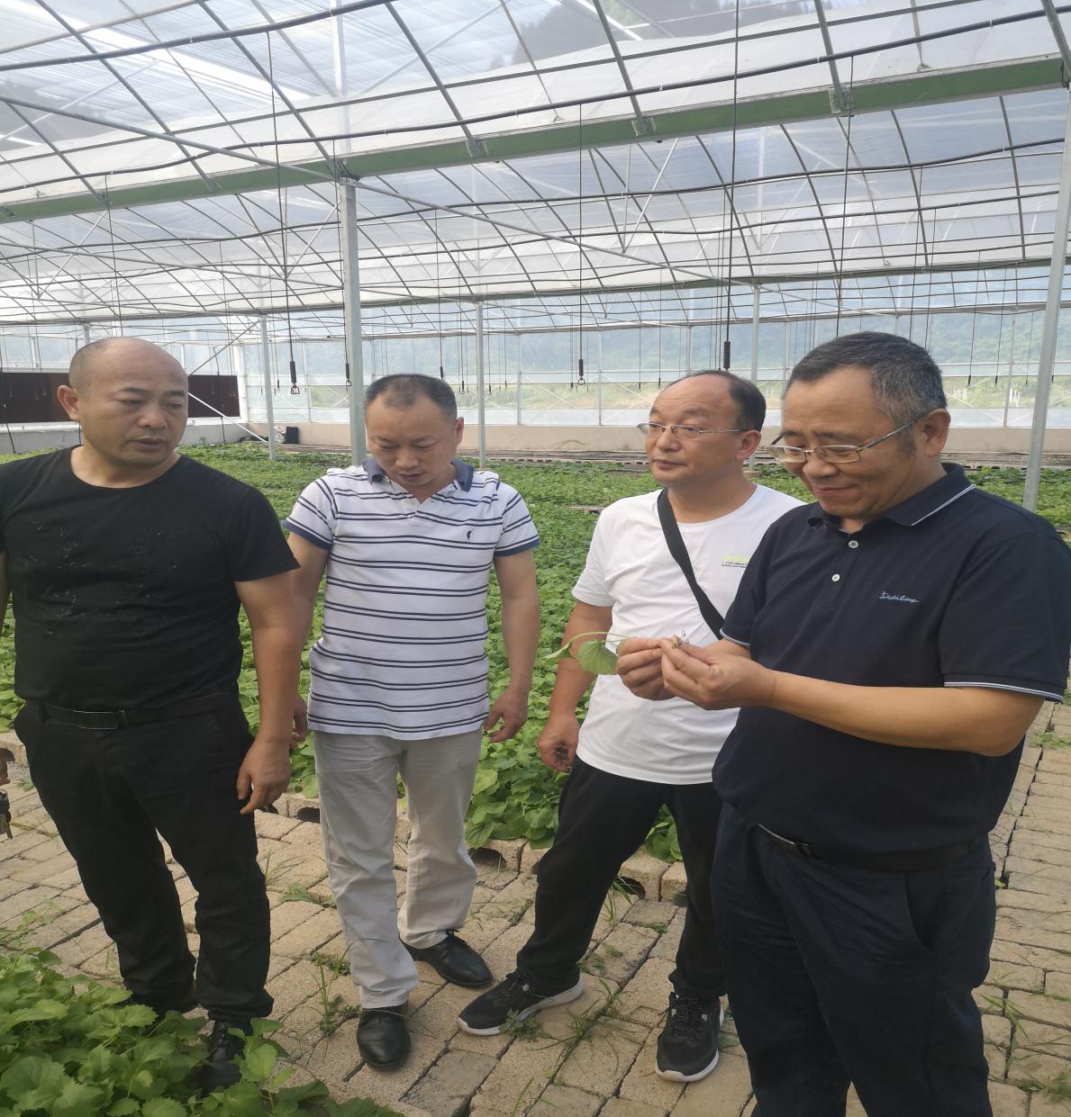 银河国际·Galaxy(中国)-官方网站